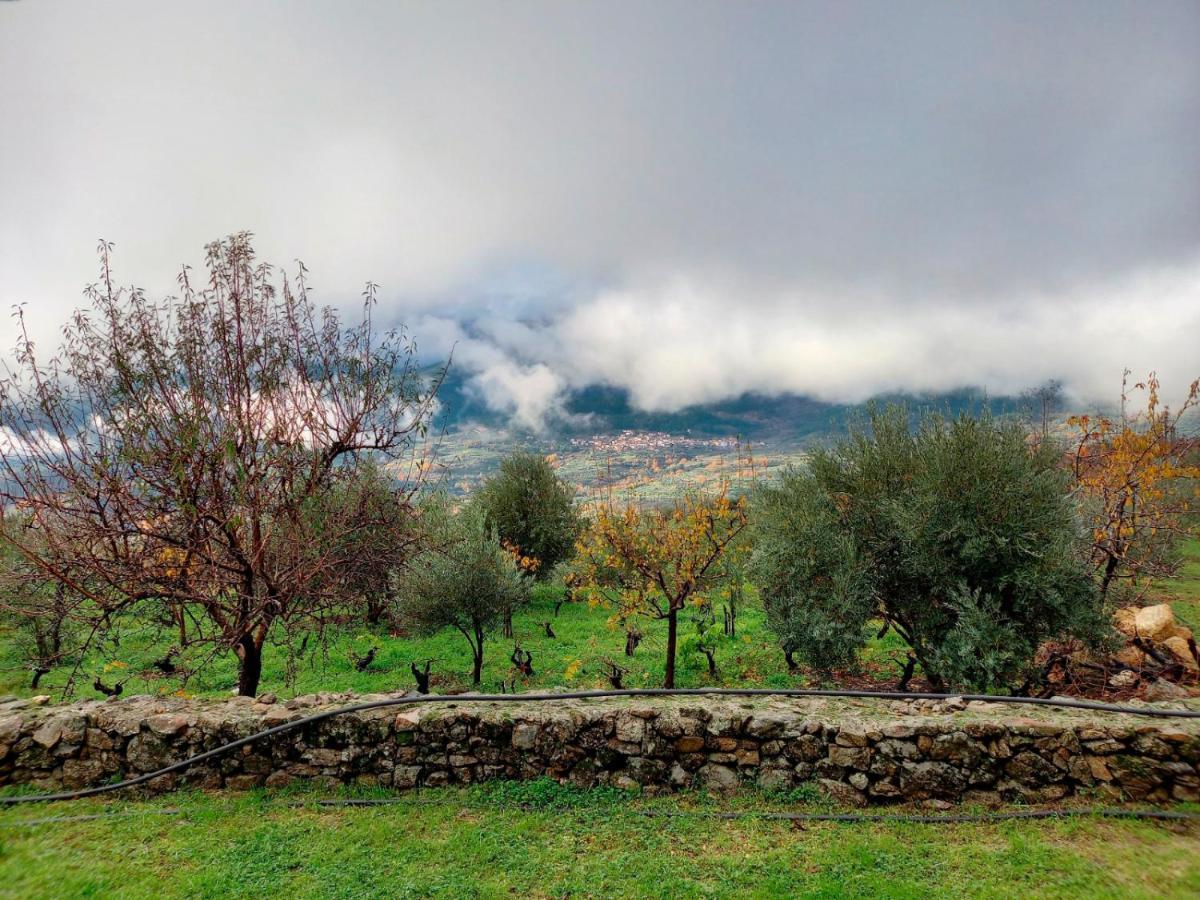 La Cirujana De Gredos Villa San Esteban Del Valle Buitenkant foto